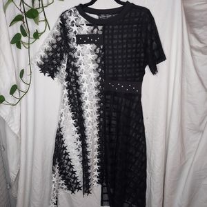 Avant-garde Asymmetrical Mesh and Lace Midi Dress